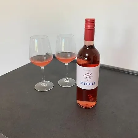 Apartma Na Vinski Kmetiji