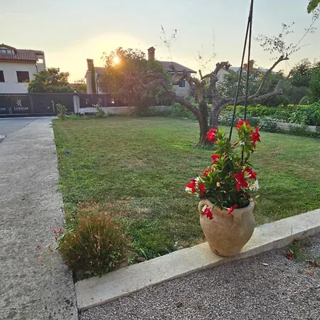 Apartma Na Vinski Kmetiji Daire *